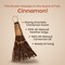 Cinnamon Broom 6" - Cinnamon Broomstick Scented 1 Pack -Mini Broom - Witches Broom Cinnamon Broomstick Decoration for Halloween